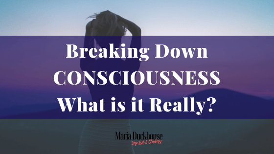 Breaking down Consciousness